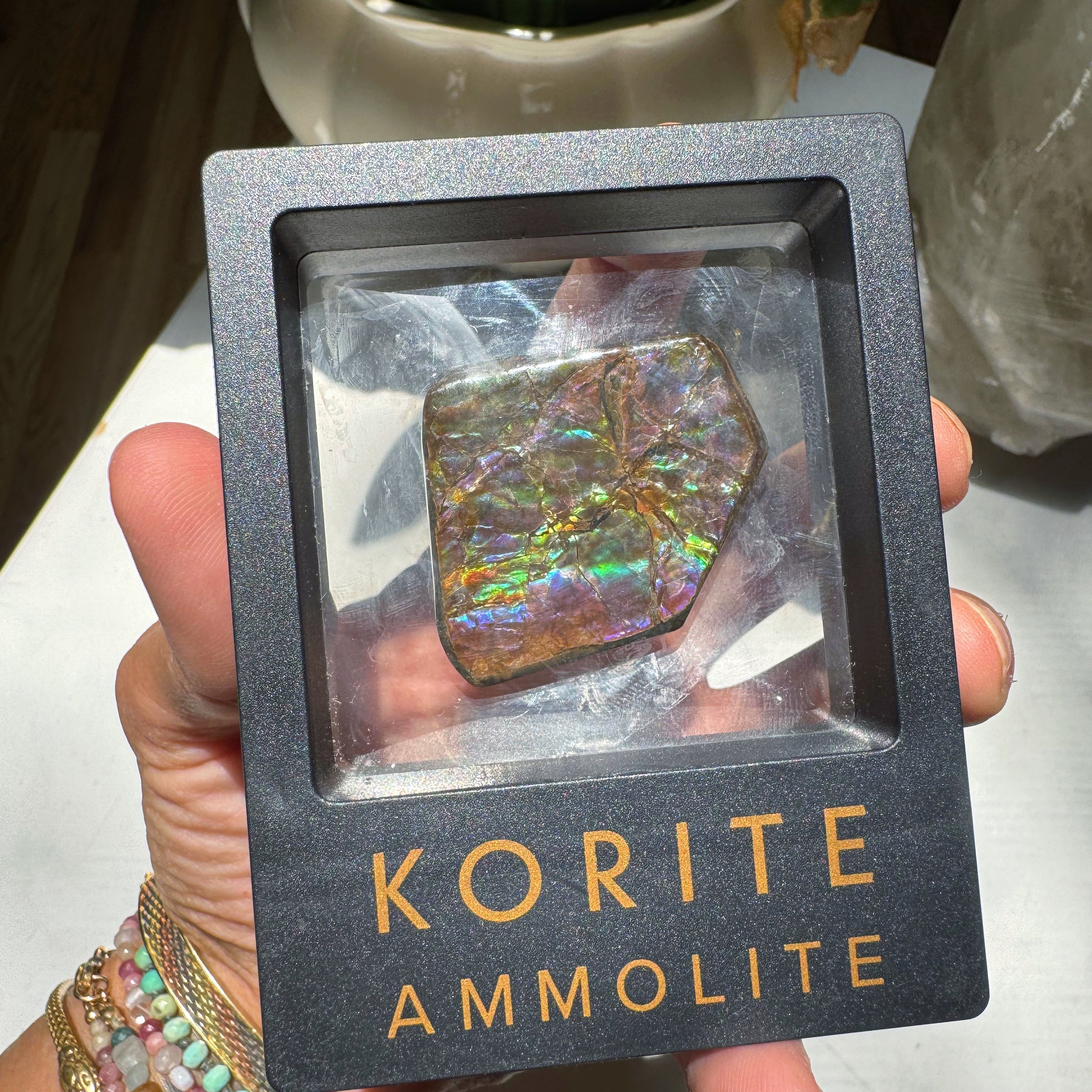 Ammolite Gemstone Hand Specimen Baltic Mermaid