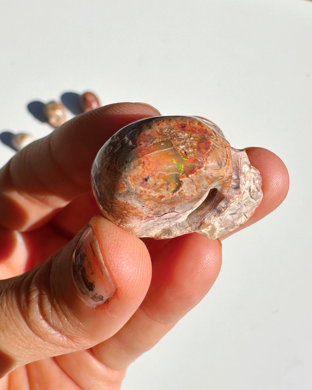 Cantera Opal Skull - Baltic Mermaid