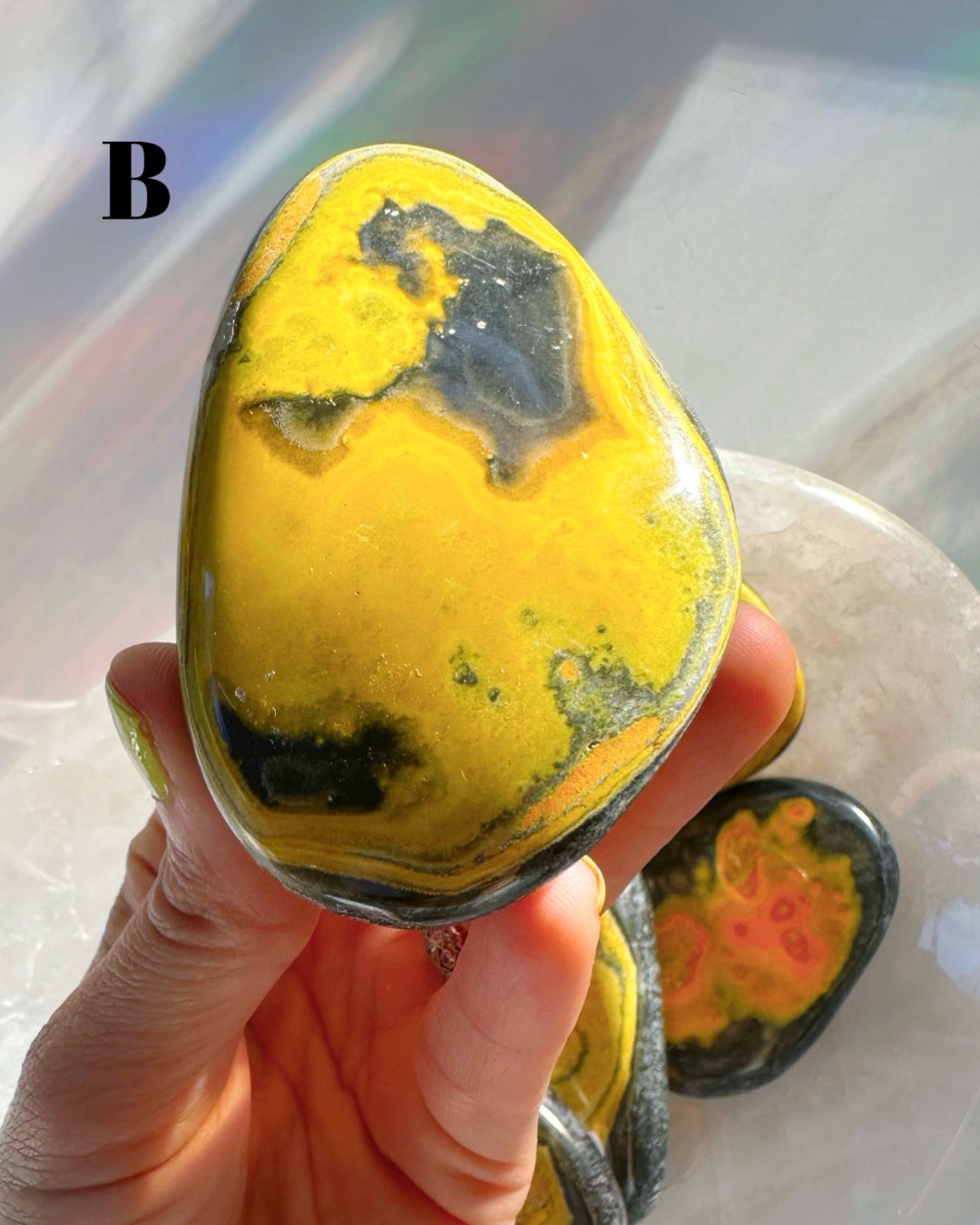 Bumblebee Jasper Palm Stones - Baltic Mermaid