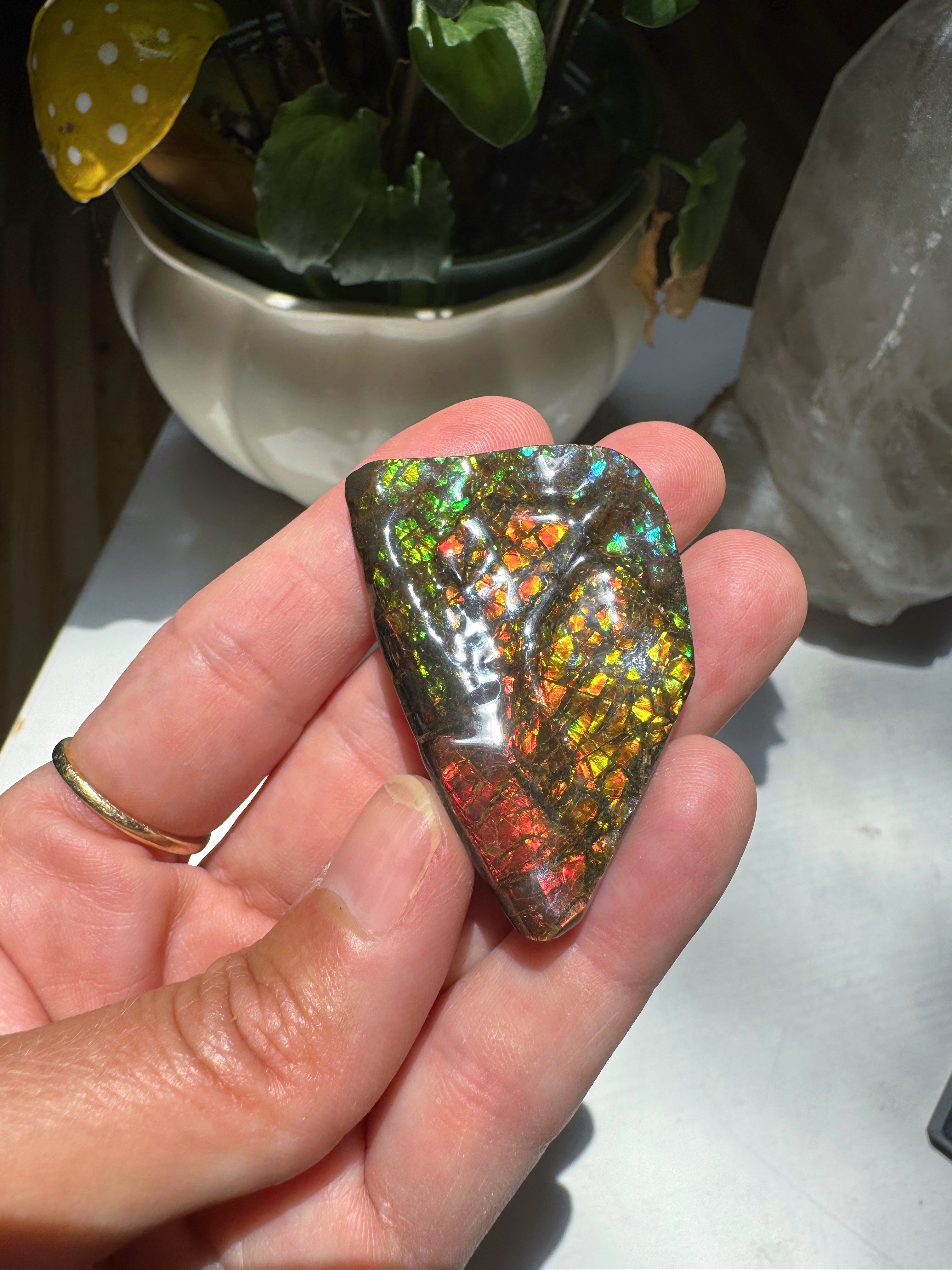 Ammolite Gemstone Hand Specimen Baltic Mermaid