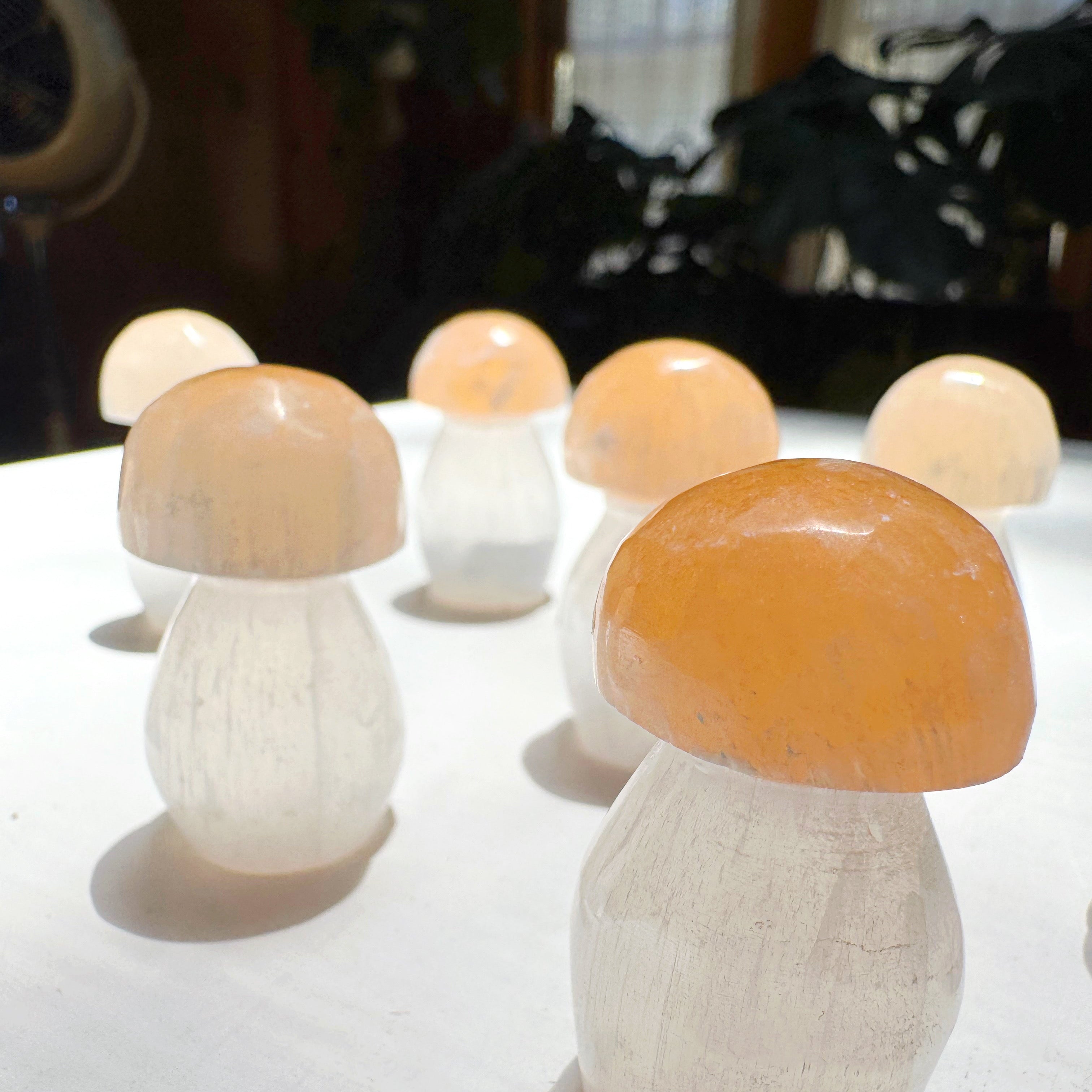 Lil’ Selenite Mushrooms Baltic Mermaid