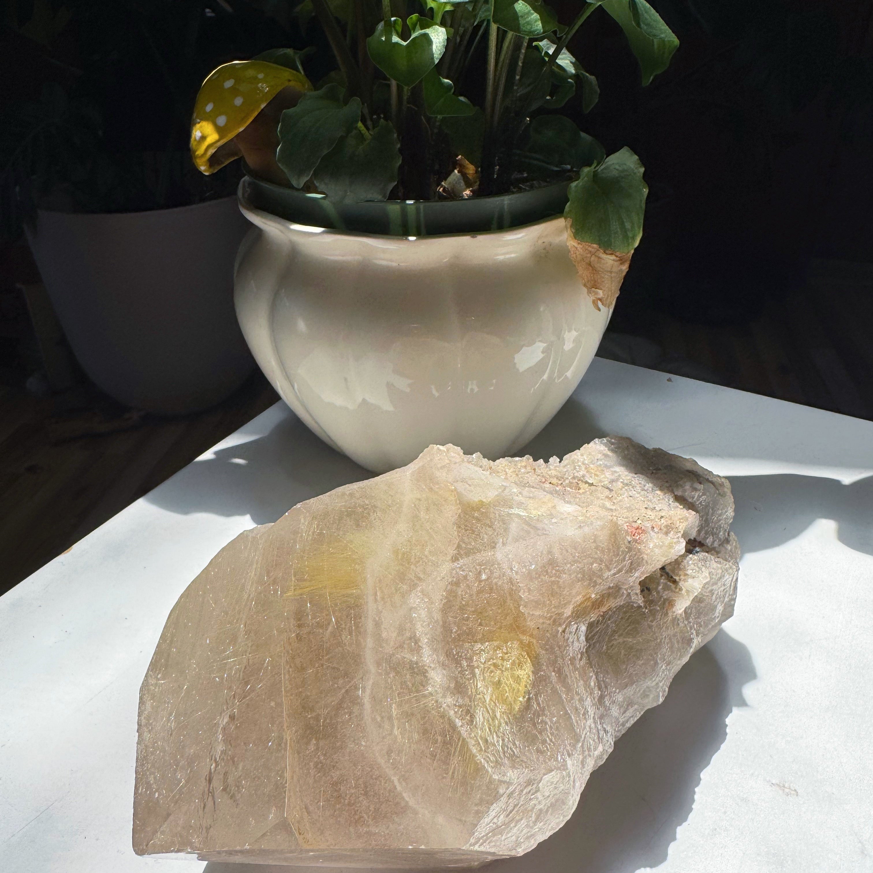 Large Rutilated Quartz Point from Brazil w/ Recordkeepers Baltic Mermaid