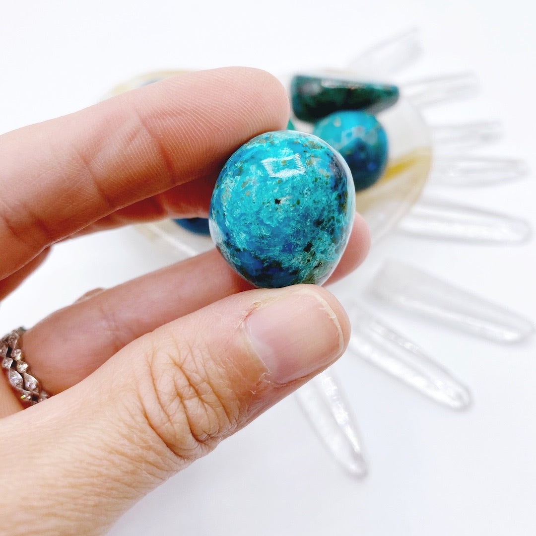 Chrysocolla Tumbled Stones - Baltic Mermaid