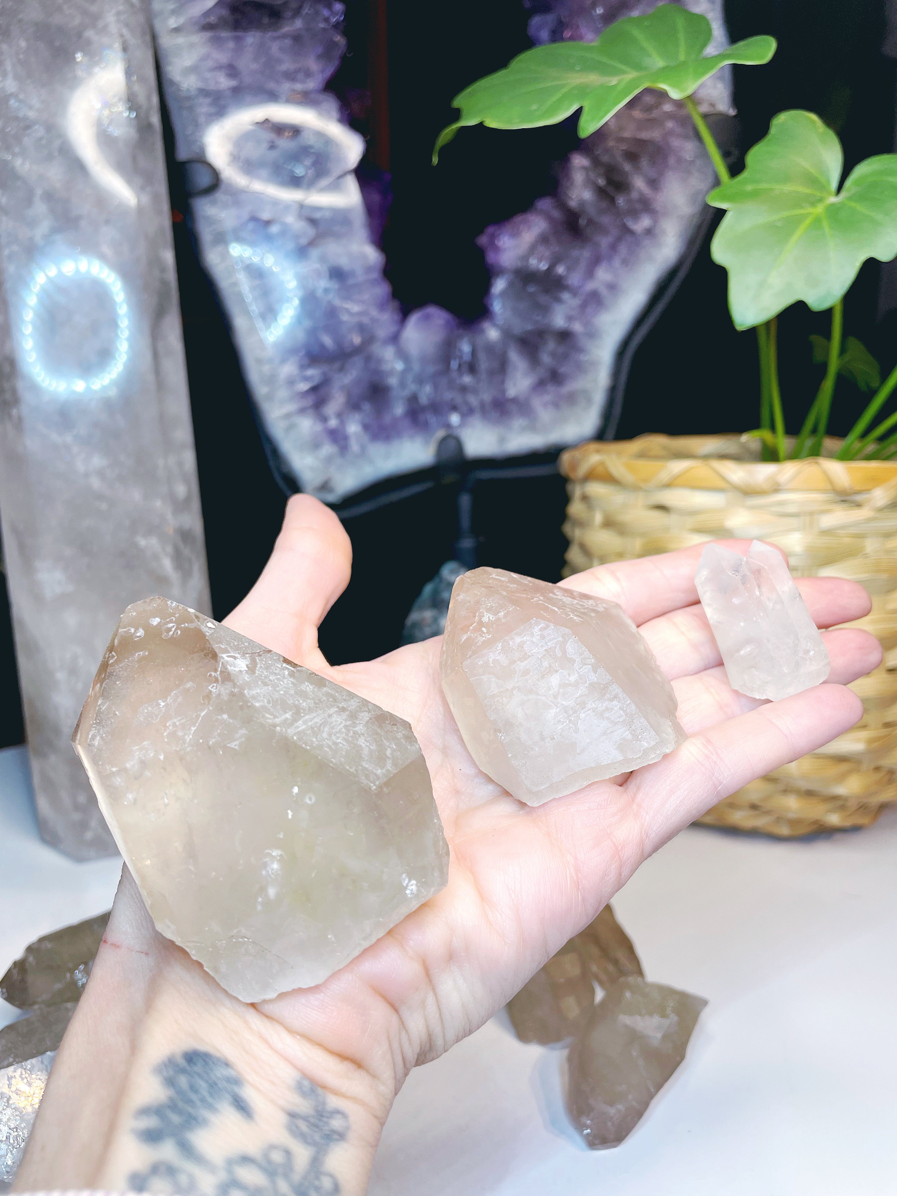 Natural Smoky Quartz Points - Baltic Mermaid