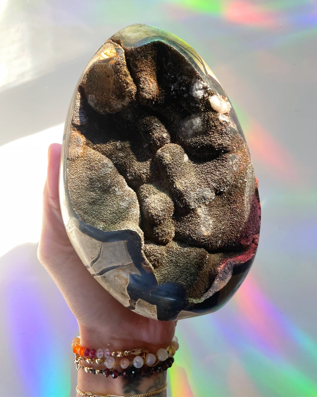 Septarian Geode Dragon Egg - Cutbase - Baltic Mermaid