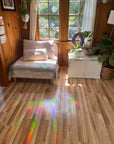 Mushrooms in Jar Rainbow Prism Window Decal - Baltic Mermaid