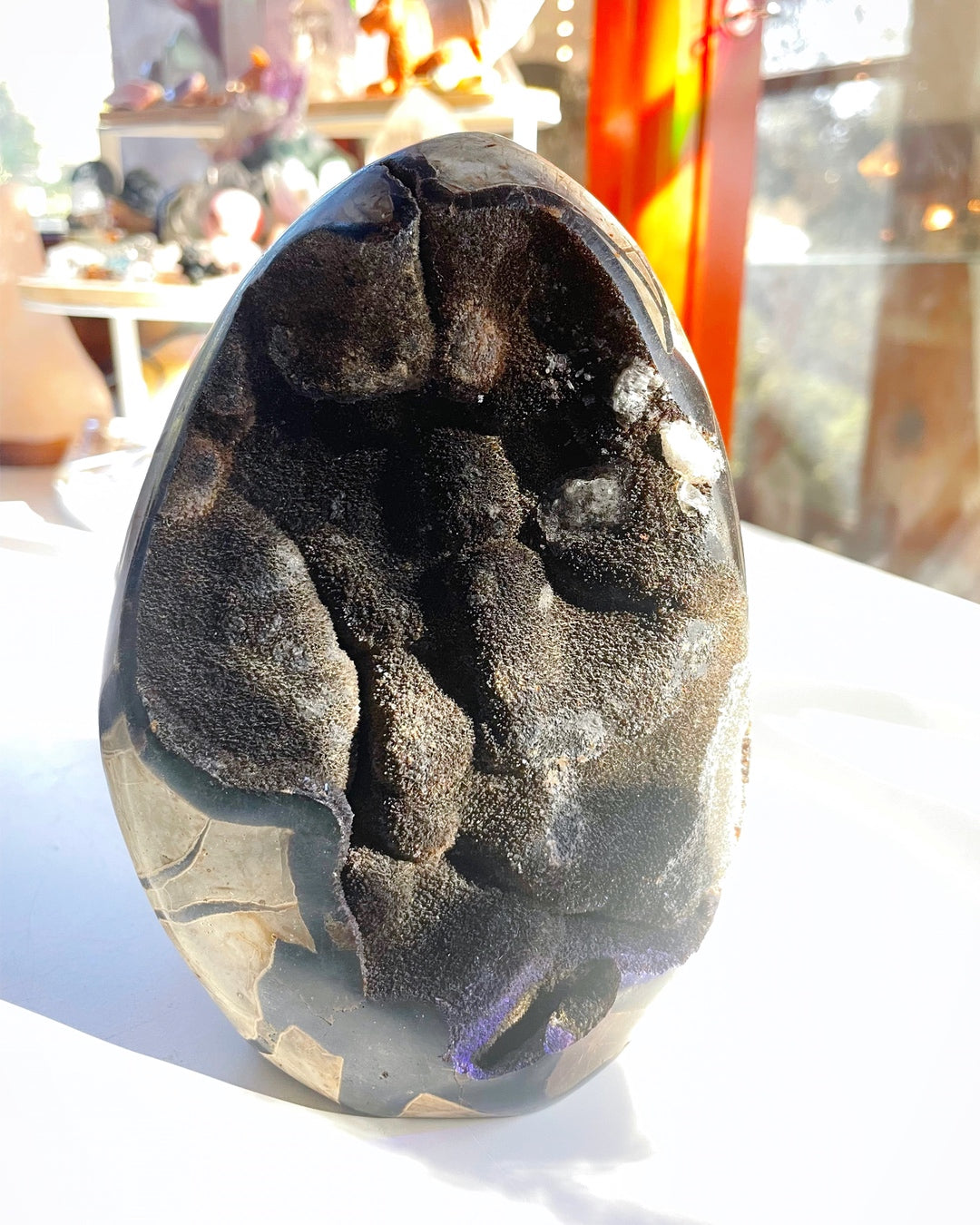 Septarian Geode Dragon Egg - Cutbase - Baltic Mermaid