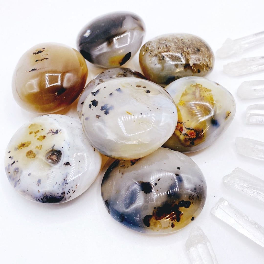 Dendritic Agate Palm Stones - Baltic Mermaid