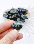 Kambaba Jasper Tumbled Stones - Baltic Mermaid