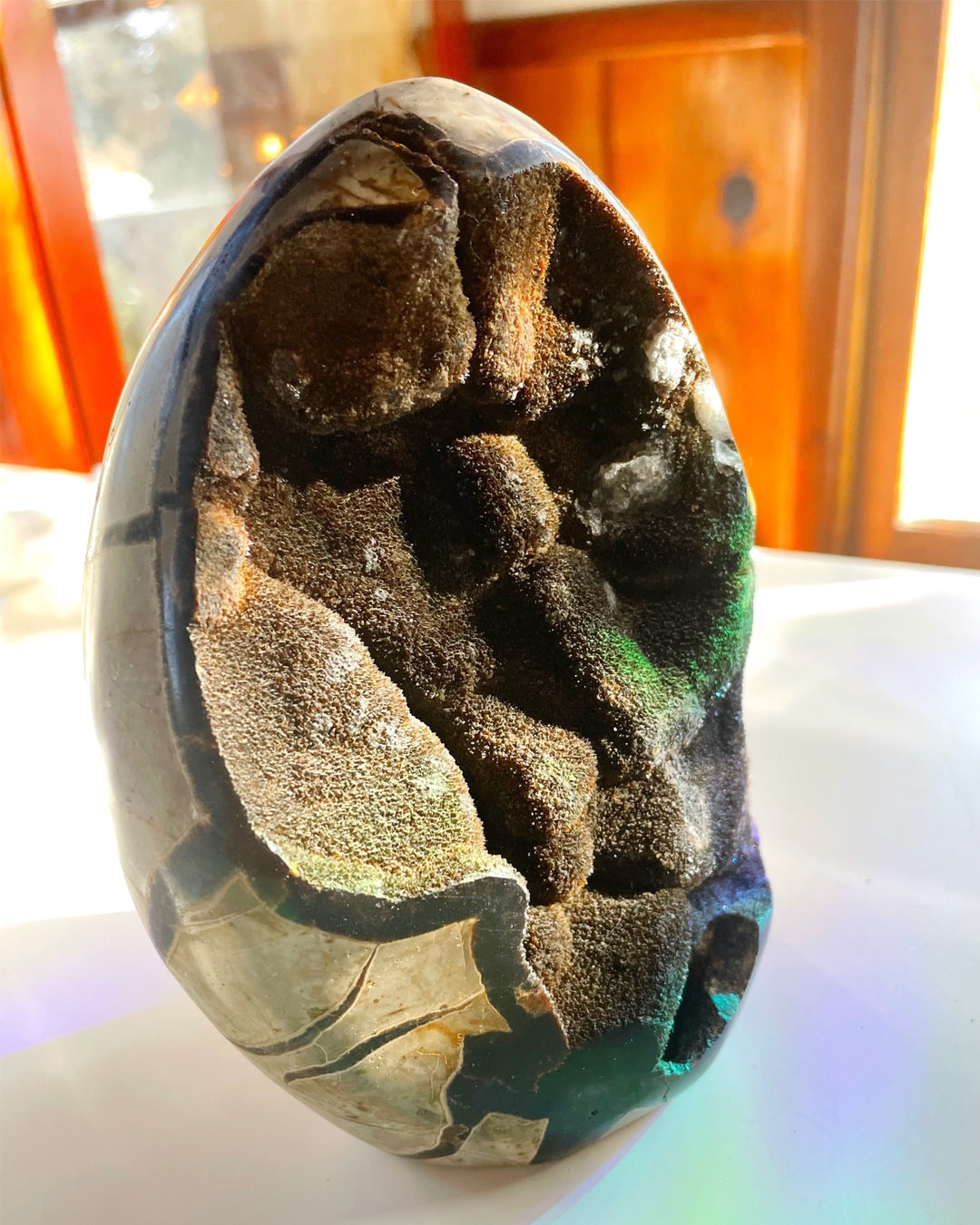 Septarian Geode Dragon Egg - Cutbase - Baltic Mermaid