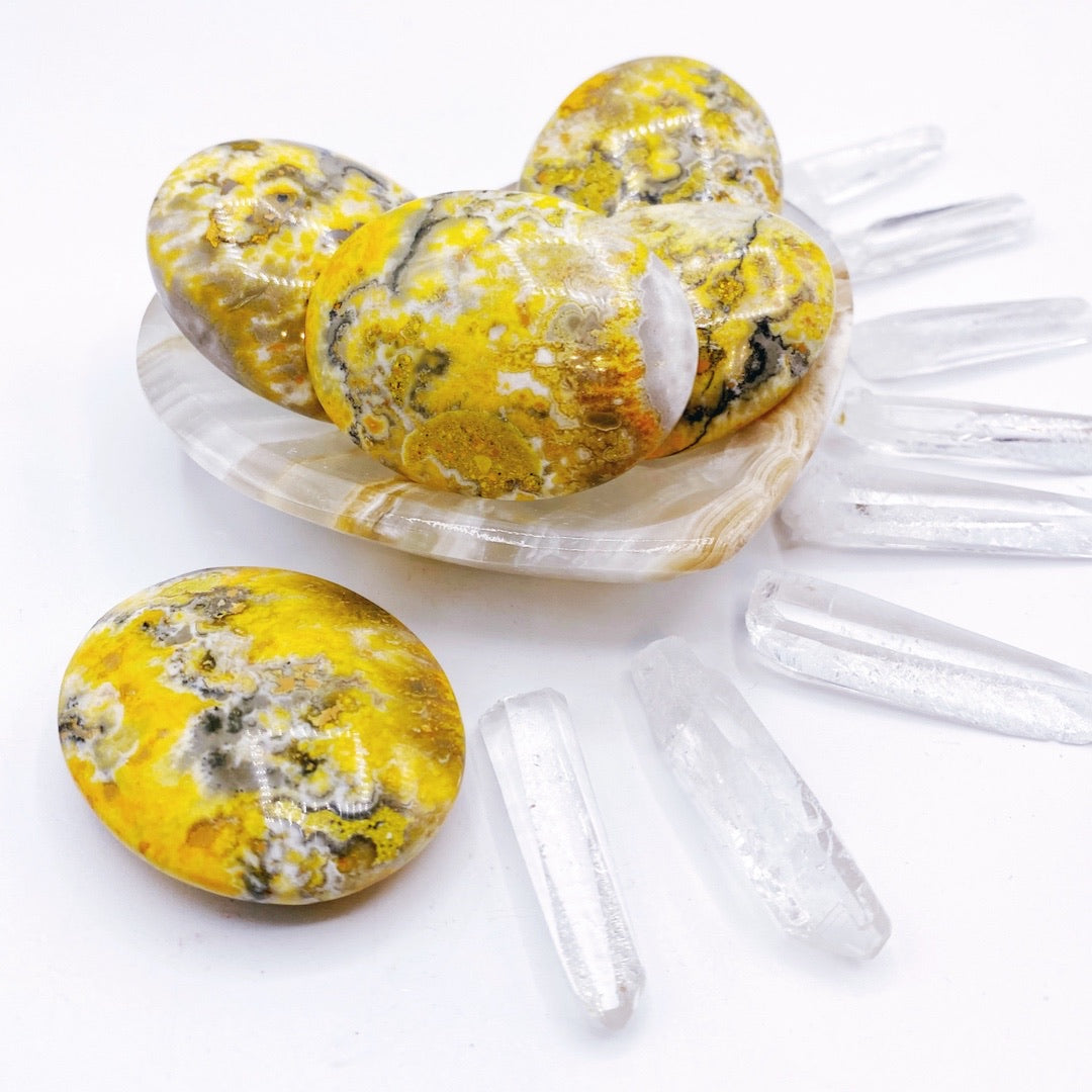 Bumblebee Jasper Palm Stone - Baltic Mermaid