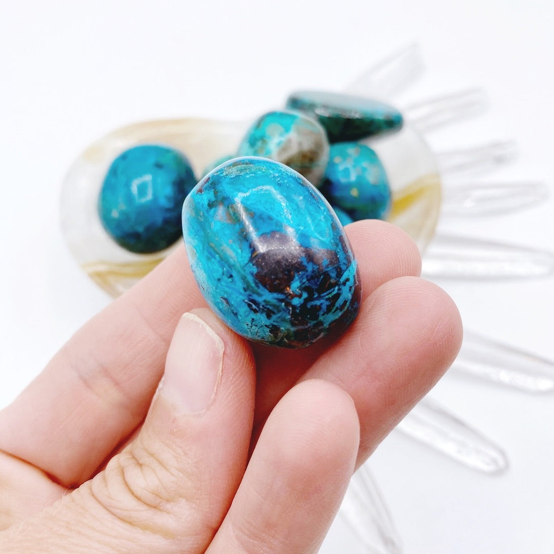 Chrysocolla Tumbled Stones - Baltic Mermaid