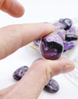 Charoite Tumbled Stones - Baltic Mermaid