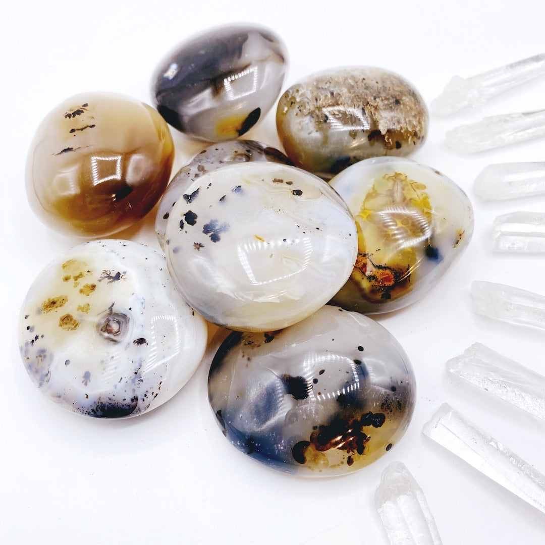 Dendritic Agate Palm Stones - Baltic Mermaid