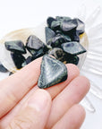 Kambaba Jasper Tumbled Stones - Baltic Mermaid