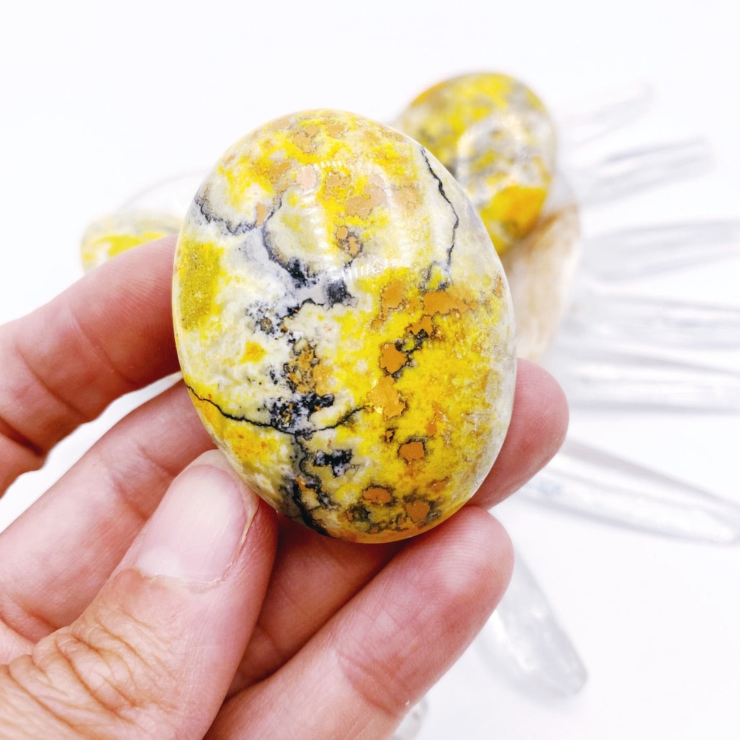 Bumblebee Jasper Palm Stone - Baltic Mermaid