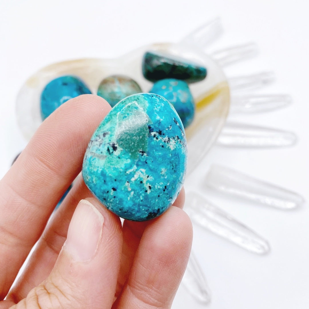 Chrysocolla Tumbled Stones - Baltic Mermaid