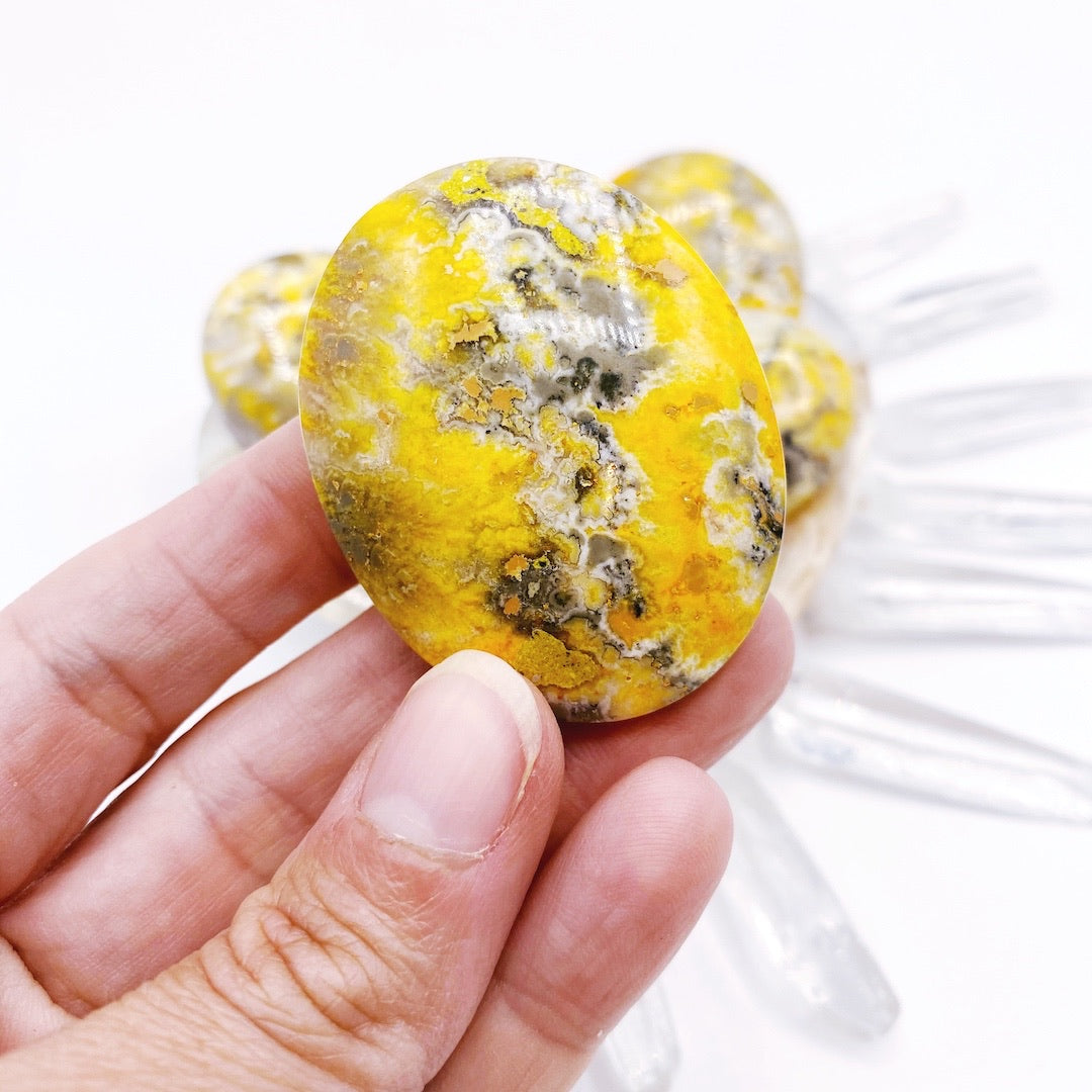 Bumblebee Jasper Palm Stone - Baltic Mermaid