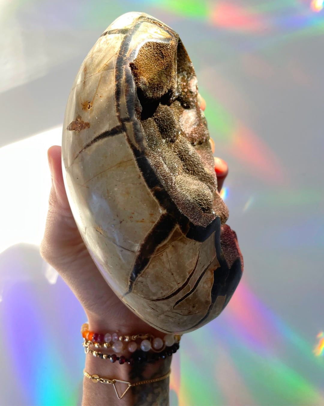 Septarian Geode Dragon Egg - Cutbase - Baltic Mermaid