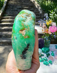 Chrysoprase Freeform - from Australian