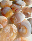 Flower Agate Flat Palm Stones