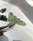 Chlum Moldavite 