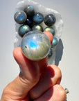 Labradorite Mini Spheres AAA