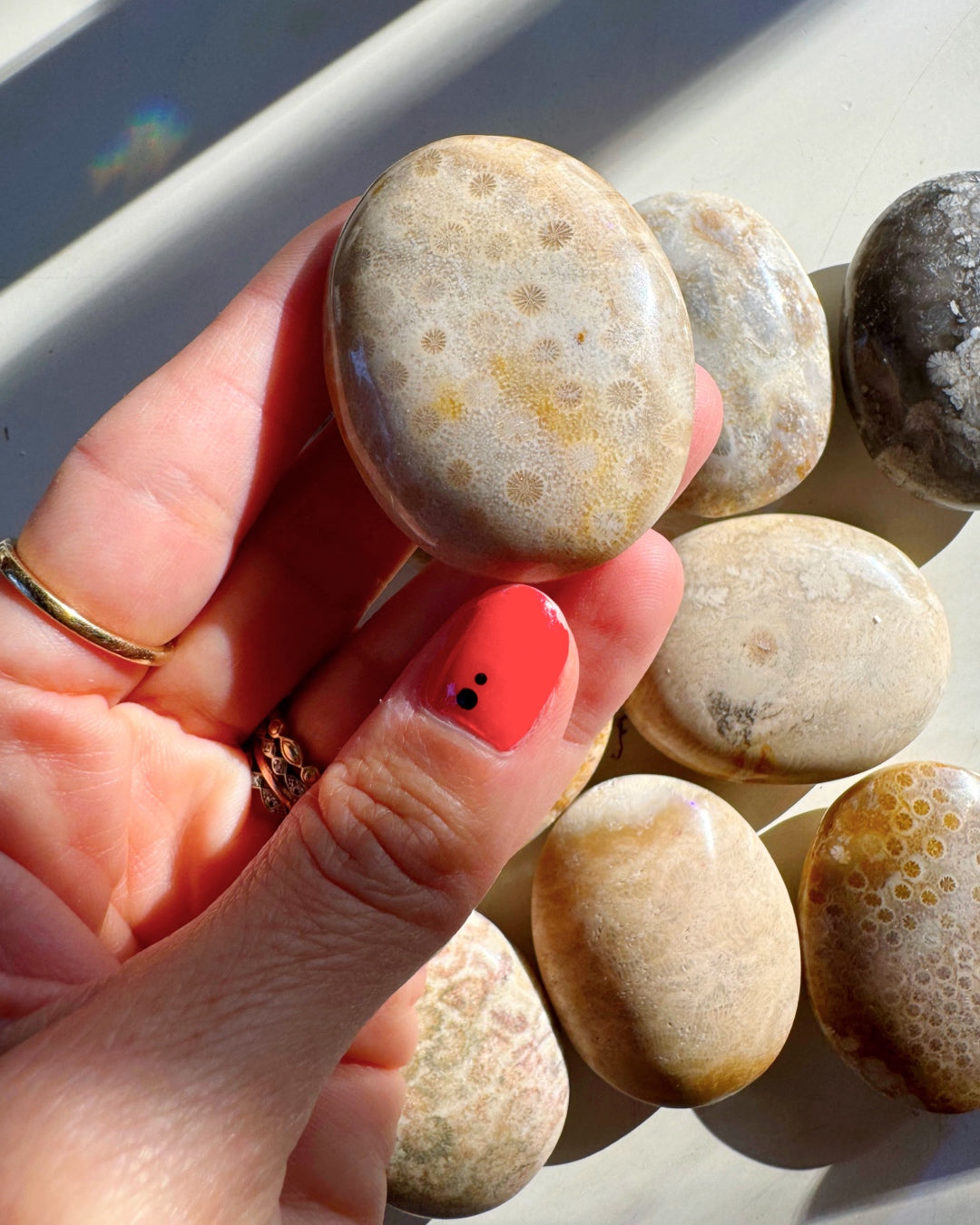 Fossil Coral Agate Palm Stones