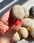 Fossil Coral Agate Palm Stones