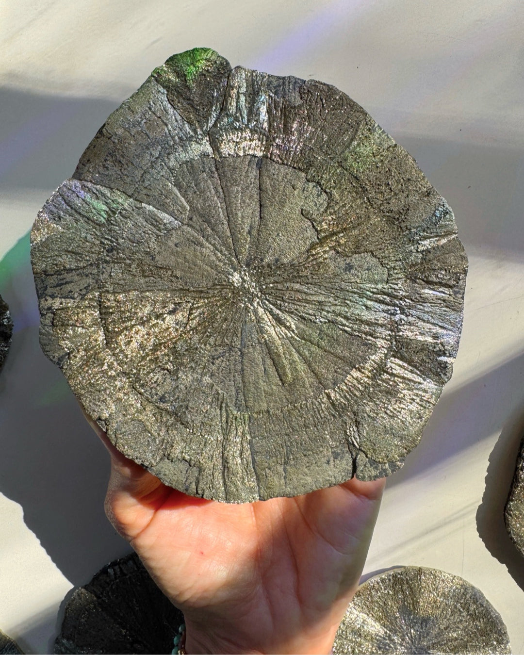 Pyrite Sun - Baltic Mermaid