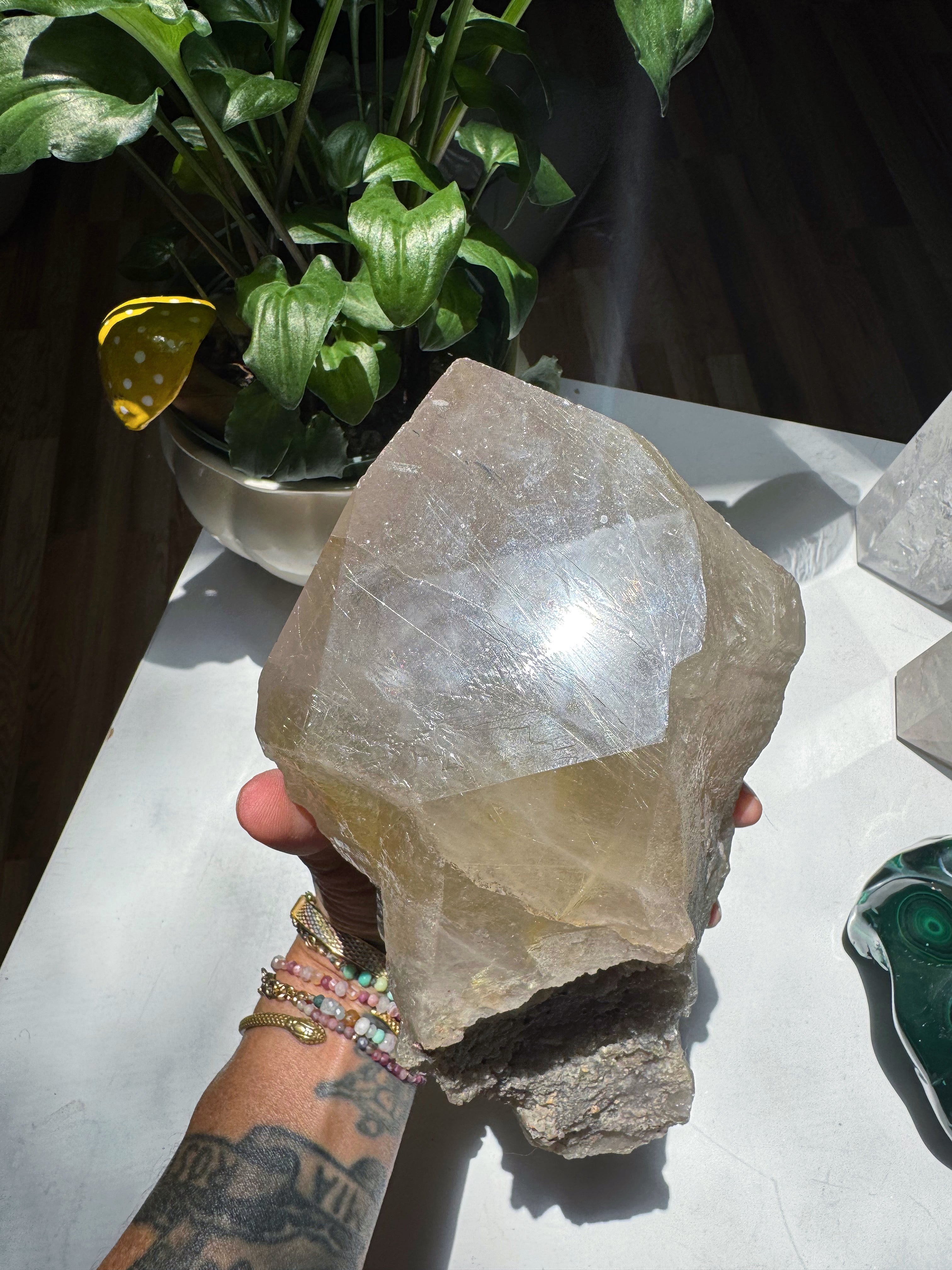Large Rutilated Quartz Point from Brazil w/ Recordkeepers Baltic Mermaid