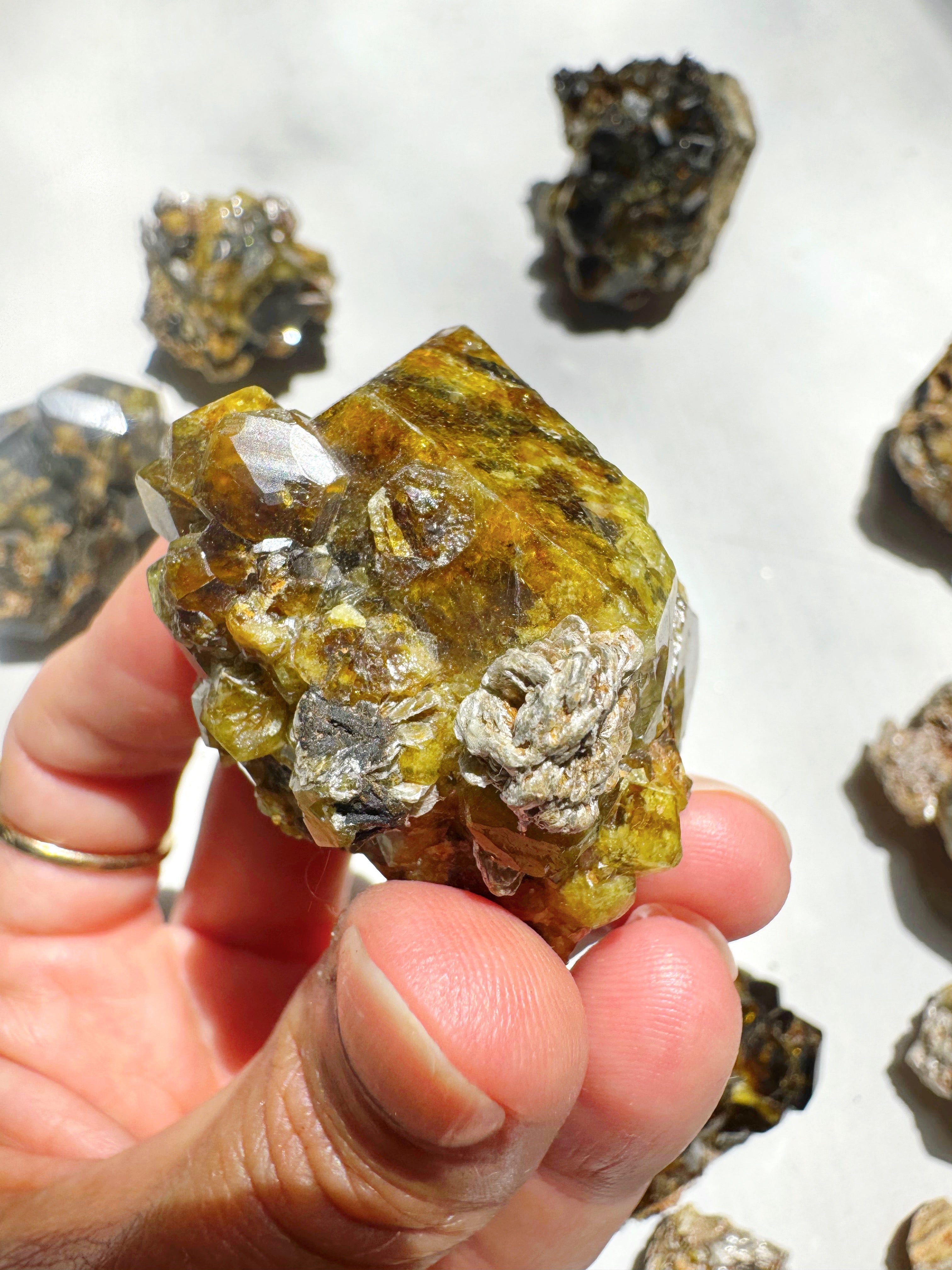 Rare Mali Green Grossular Andradite Garnet w/ Clinochlore AAA Quality Baltic Mermaid