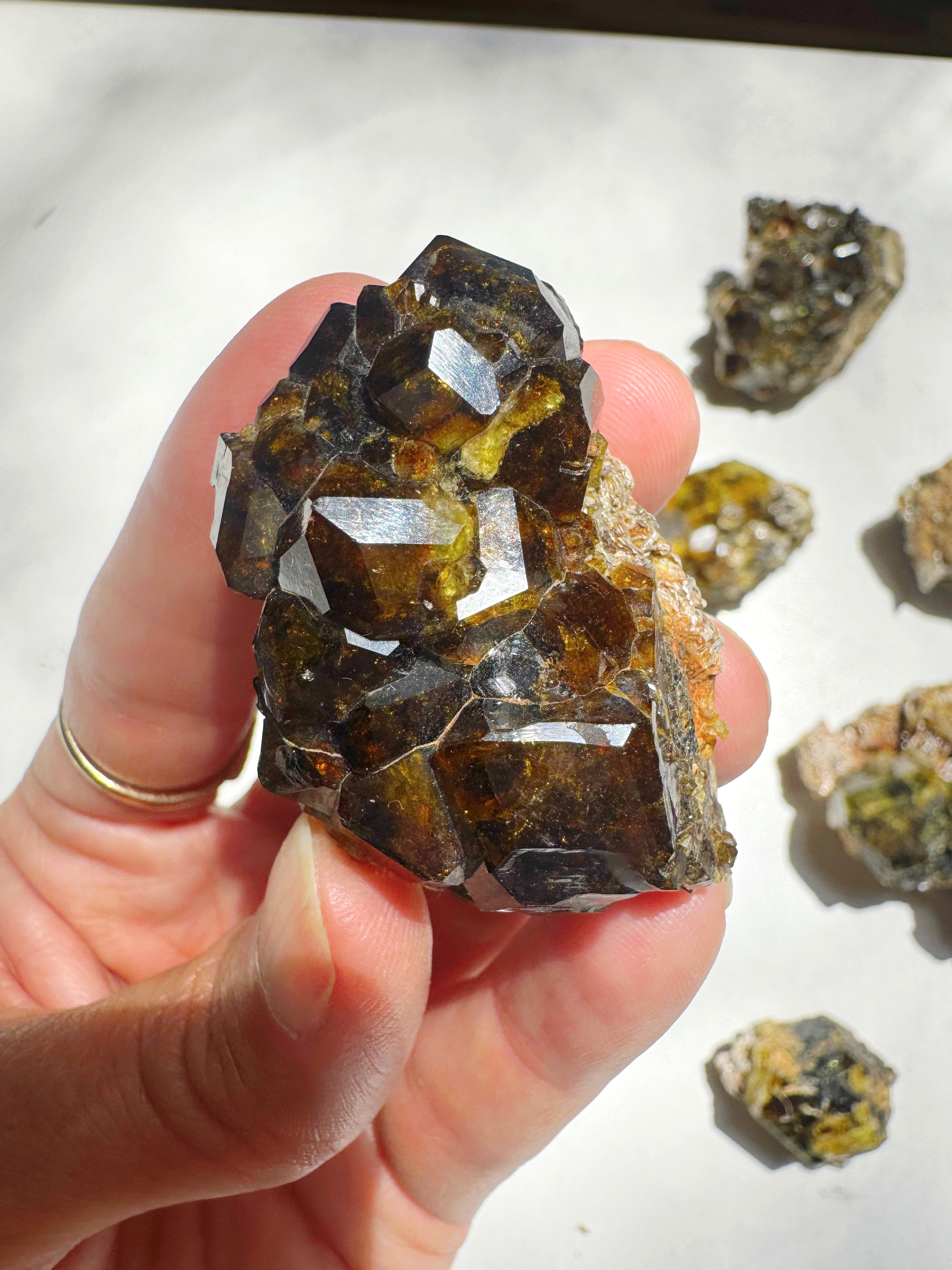 Rare Mali Green Grossular Andradite Garnet Epimorph w/ Clinochlore AAA Quality Baltic Mermaid