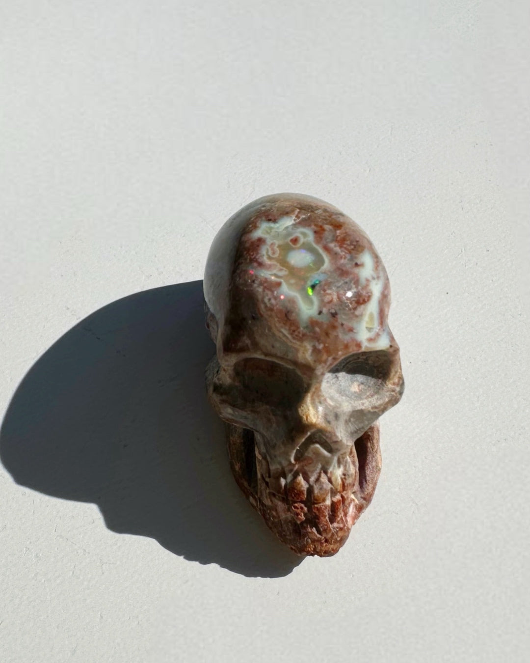 Cantera Opal Skull - Baltic Mermaid