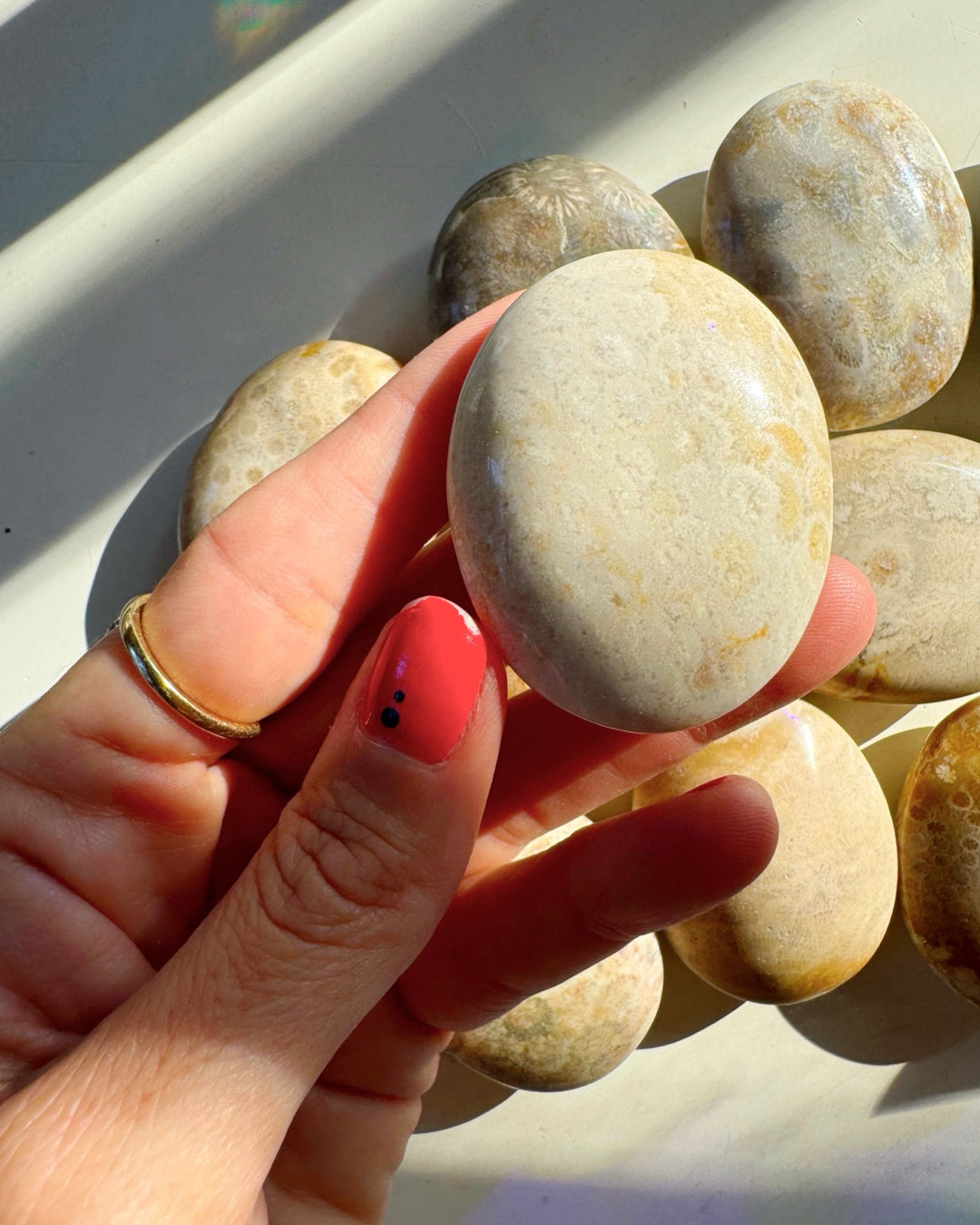 Fossil Coral Agate Palm Stones