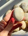 Fossil Coral Agate Palm Stones