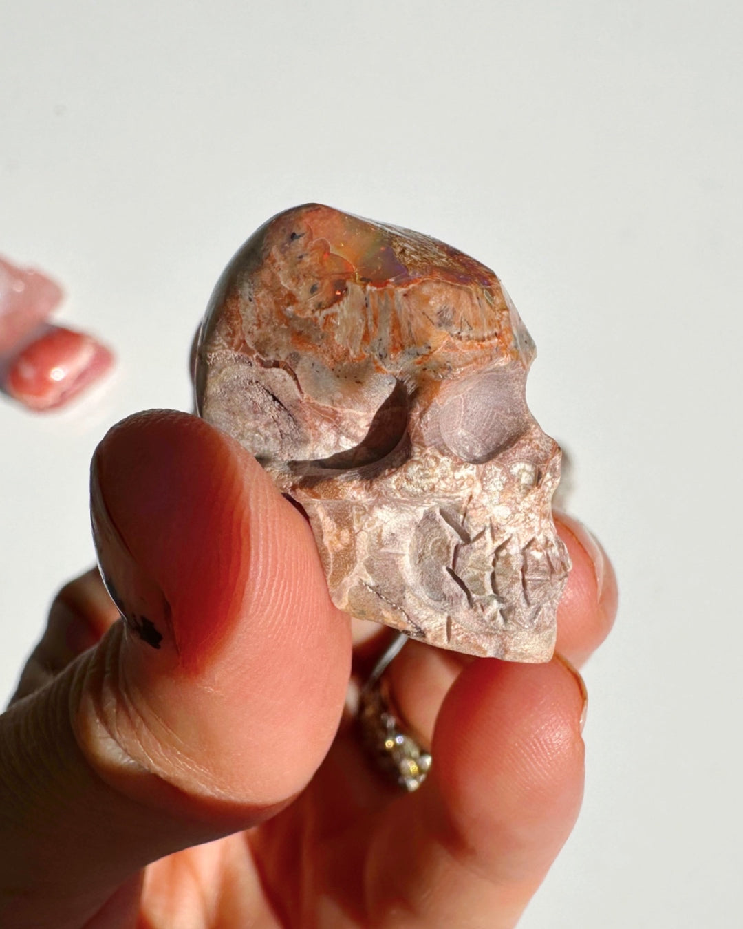 Cantera Opal Skull - Baltic Mermaid