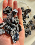 Snowflake Obsidian Tumbled Stones