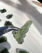 Chlum Moldavite #9 - AA - Baltic Mermaid