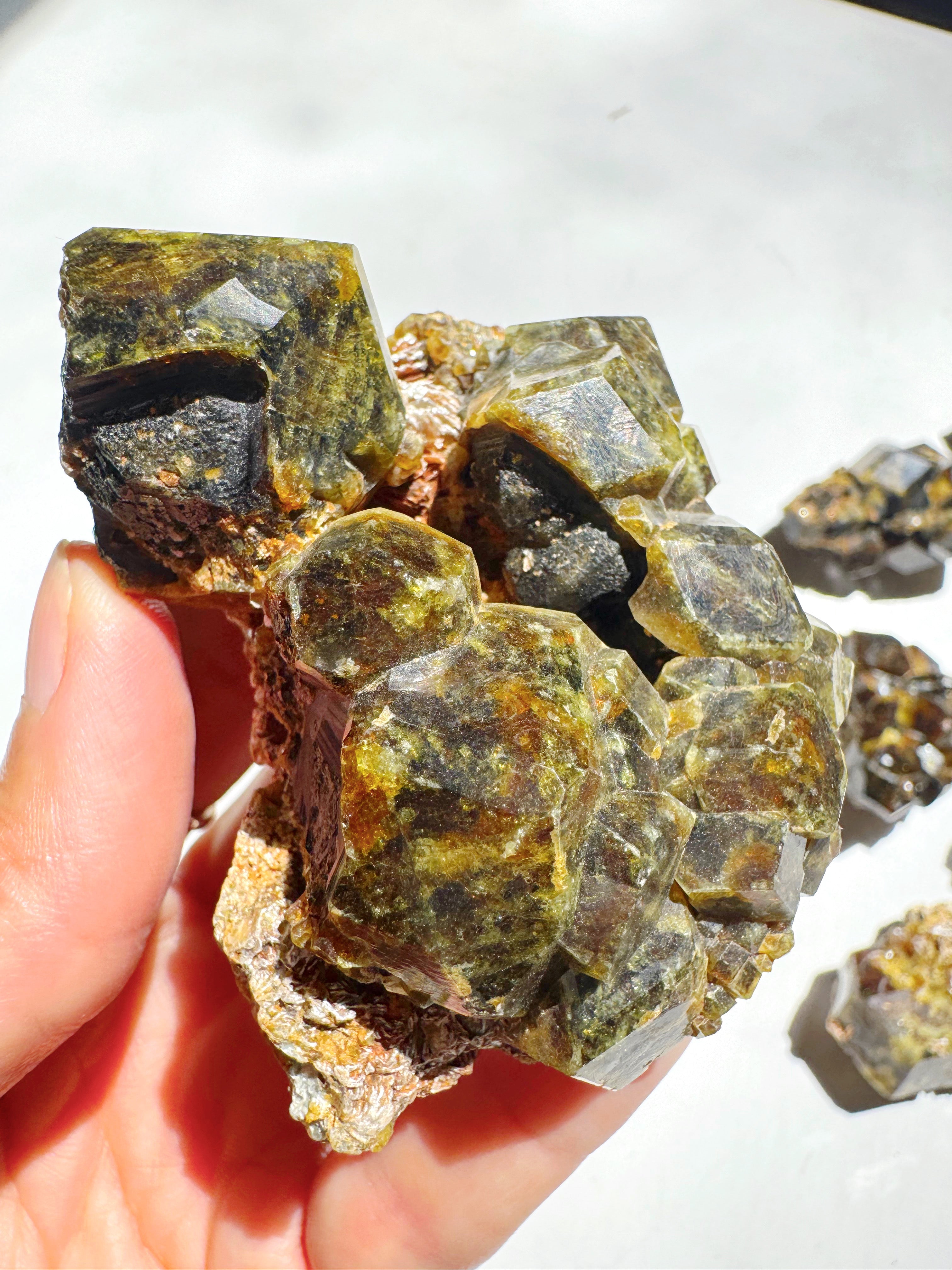 Rare Mali Green Grossular Andradite Garnet w/ Clinochlore AAA Quality Baltic Mermaid