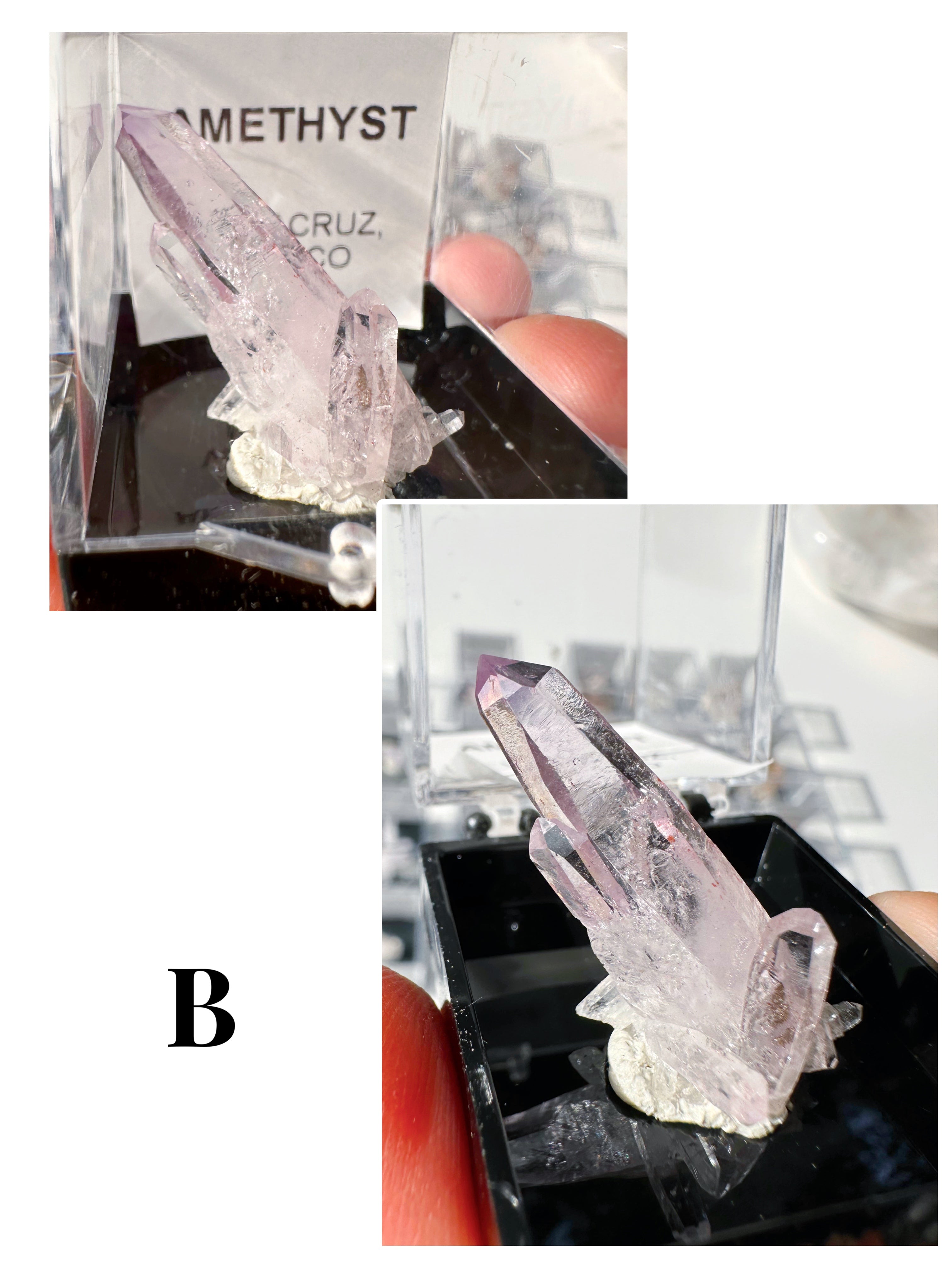 Veracruz Amethyst Thumbnails in Perky Box - Baltic Mermaid