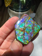 Ammolite Gemstone Hand Specimen Baltic Mermaid