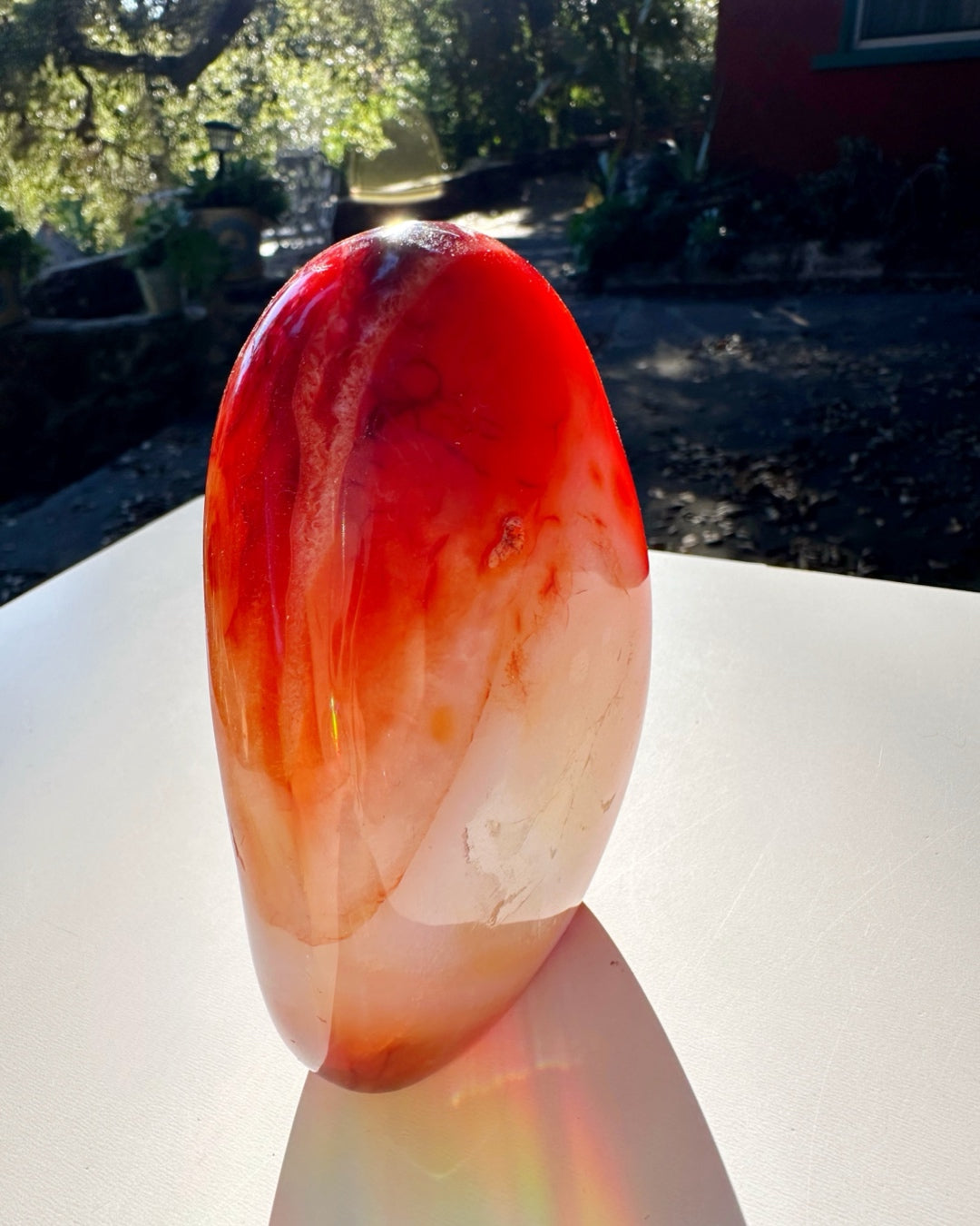 Carnelian Agate Freeform