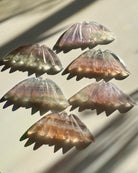 Fluorite Bats - Baltic Mermaid