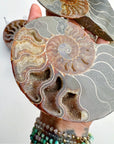 Blue Ammonite Fossil Pair