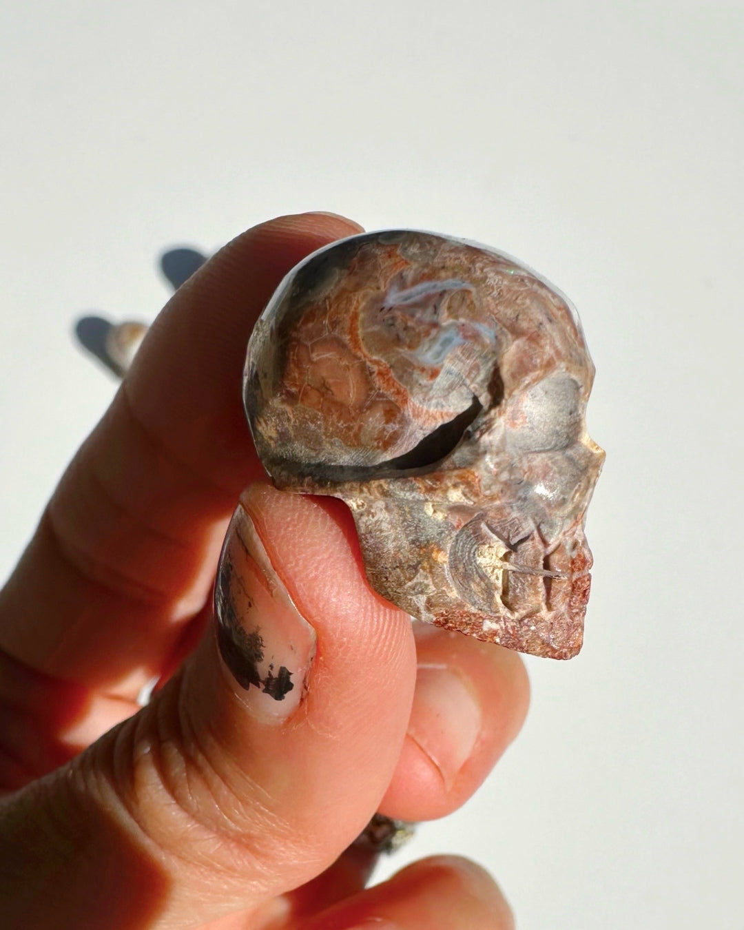 Cantera Opal Skull - Baltic Mermaid