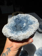 Celestite Cluster Baltic Mermaid