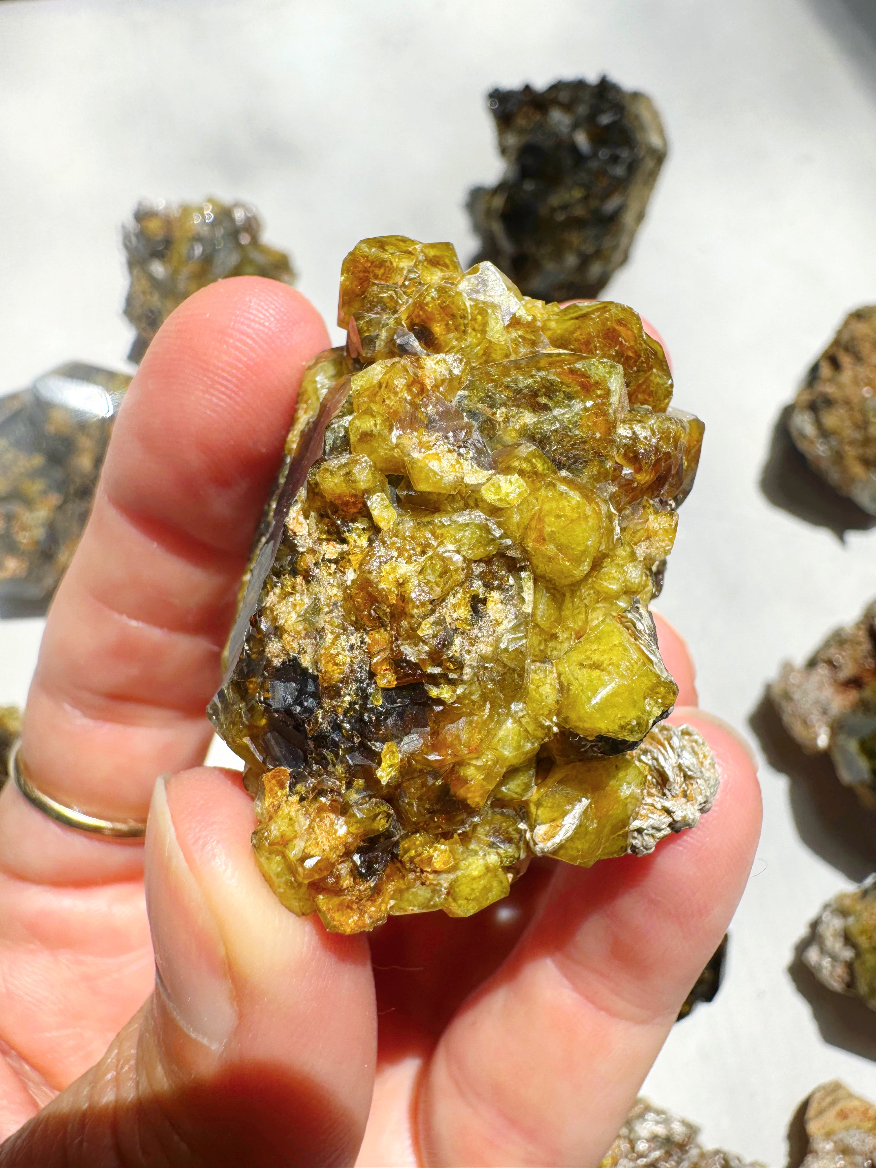 Rare Mali Green Grossular Andradite Garnet w/ Clinochlore AAA Quality Baltic Mermaid