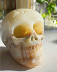 Peruvian Opal Skull