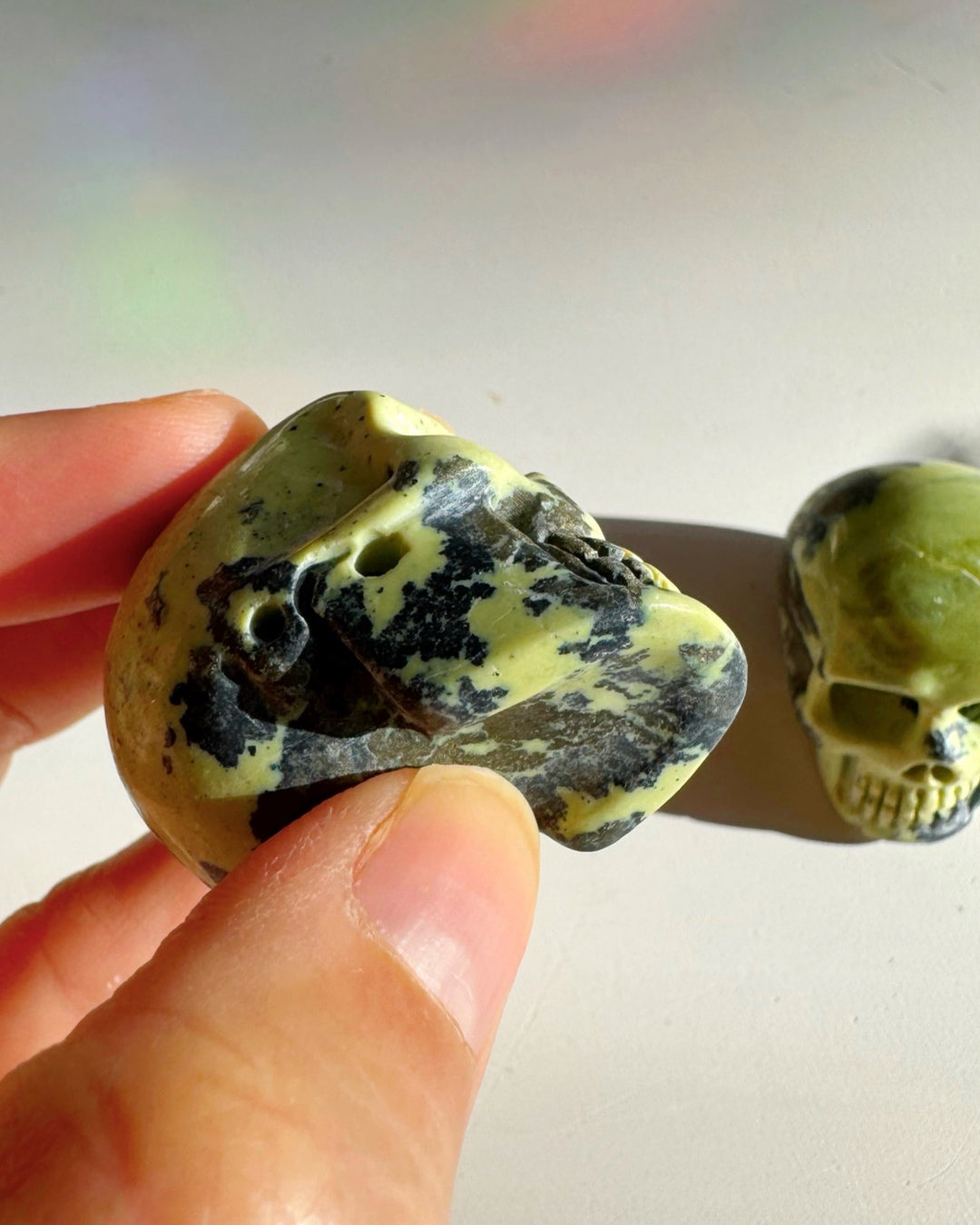 Serpentine Skull - Baltic Mermaid